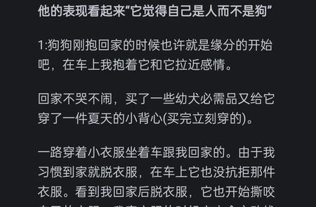 揭秘狗狗是否知道自己的身份