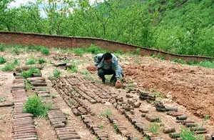 东宁要塞：穿越历史星空的探访之旅