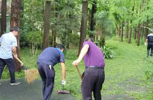 恢复的秘密：揭示快速恢复的方法与技巧