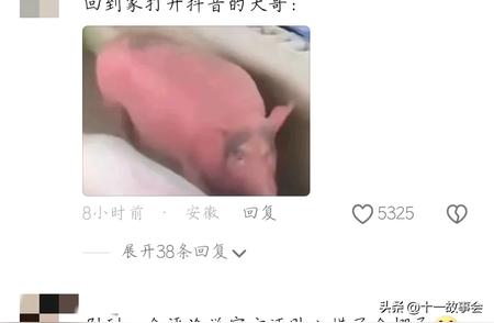 钓鱼佬误入官方直播，空军全记录曝光