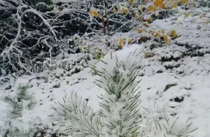 中国最冷小镇金秋迎初雪，绝美景色尽展眼前