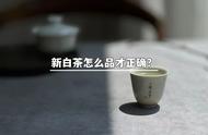 新白茶的正确品鉴方法：6个步骤，新手也能掌握