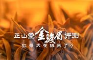 正山堂2022金骏眉红茶评测：红茶的天花板