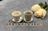 白茶存储：散茶与饼茶的选择困扰，一篇文章帮你解决