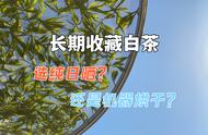 白茶中的“纯日晒”与“机器烘干”：新手如何选择？