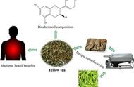 黄茶的健康效益：功能性成分的最新研究进展（二）