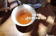 掌握这8个要点，武夷岩茶轻松入门！