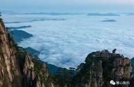 黄山毛峰：茶乡的瑰宝