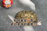 如何鉴别真假老白茶饼？老茶客分享5个关键点