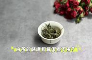 白茶与普洱：新白茶是否更像生普，老白茶是否更像熟普？