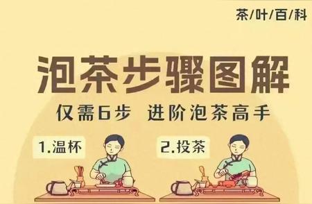 泡茶高手速成：图解泡茶六大步骤