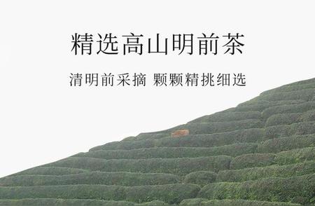 商城县信阳毛尖：品味独特，香韵悠长