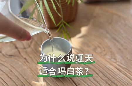 夏天白茶何以如此火热？五大原因解析