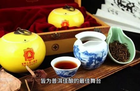 普洱茶新手入门指南