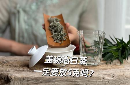 盖碗泡白茶：茶叶用量指南