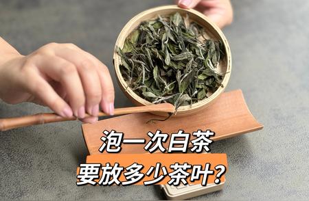 泡白茶的最佳投茶量是多少？