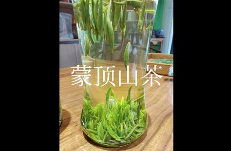 蒙顶山茶：品味川茶之冠