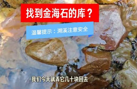 金海石资源库大揭秘：如何找到宝藏之地？