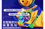 成都五一打卡新热点：巨型拖把狗现身，萌翻全场！