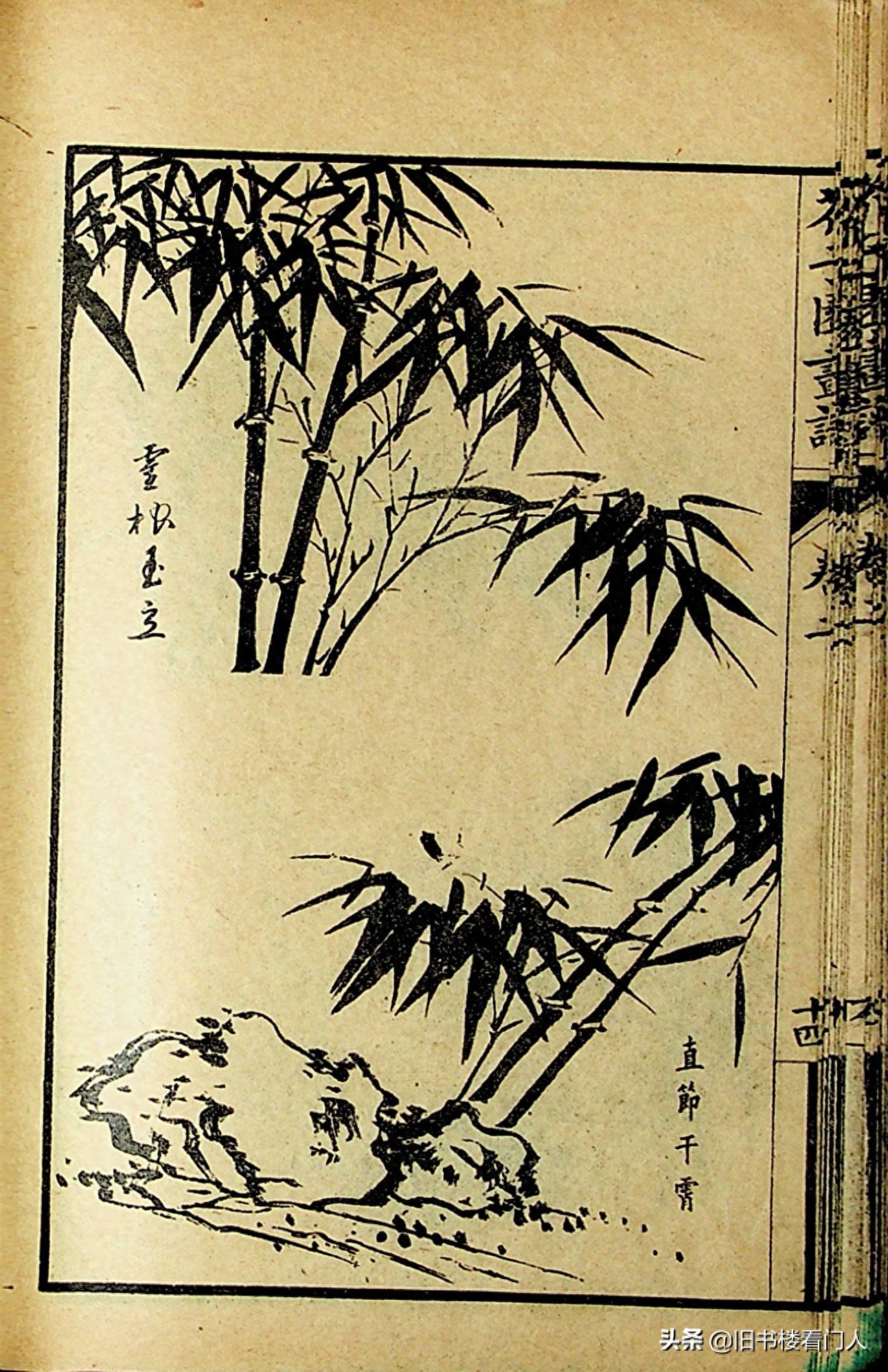 艺术类学画必修之书－《芥子园画谱·竹谱》